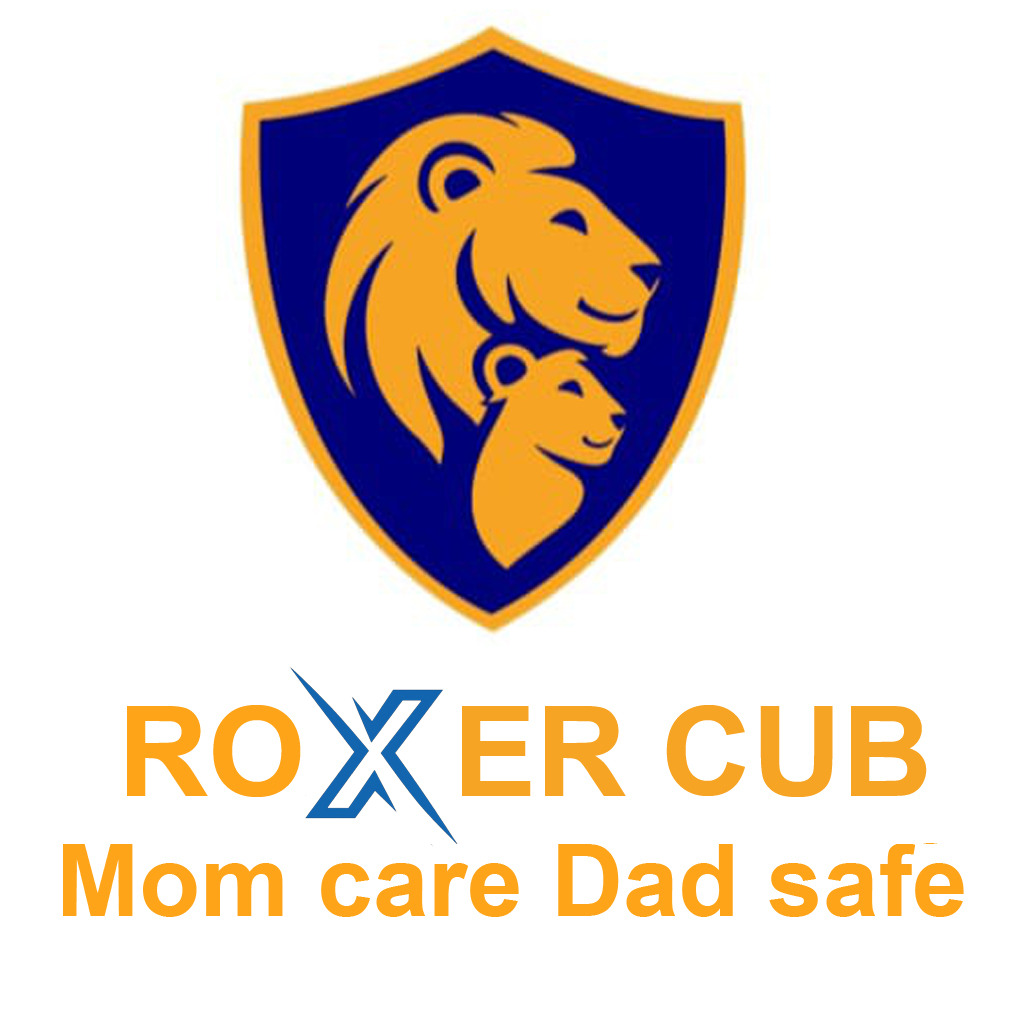 About ROXER illustration